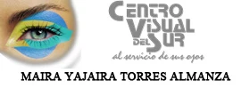 Logo Centro Visual del Sur